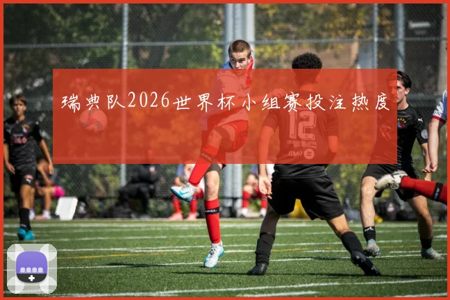瑞典队2026世界杯小组赛投注热度