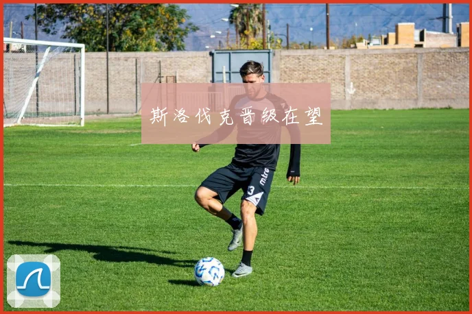 斯洛伐克晋级在望