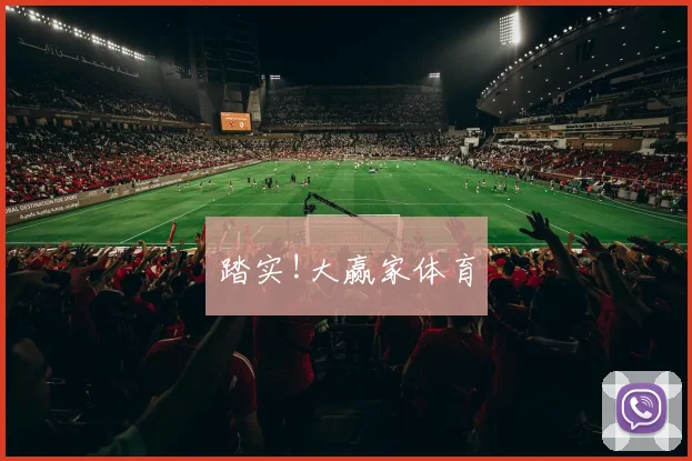 踏实!大赢家体育