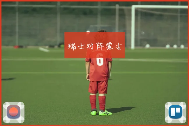 瑞士对阵蒙古
