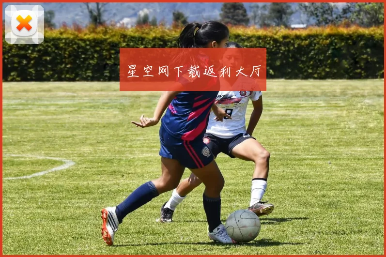 星空网下载返利大厅