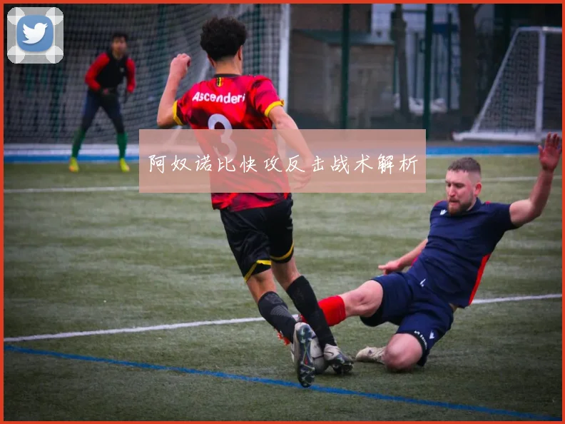 阿奴诺比快攻反击战术解析
