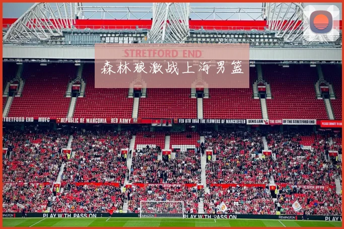 森林狼激战上海男篮