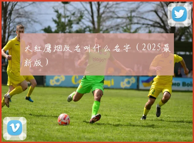 大红鹰烟改名叫什么名字（2025最新版）