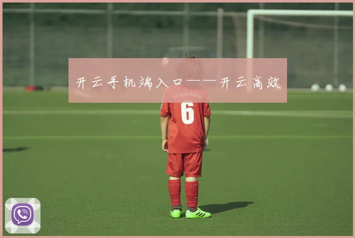 开云手机端入口——开云高效