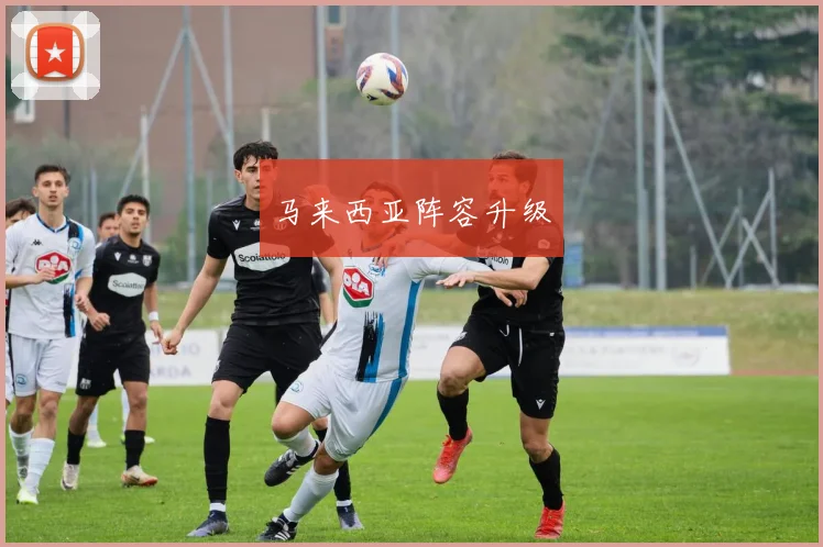 马来西亚阵容升级