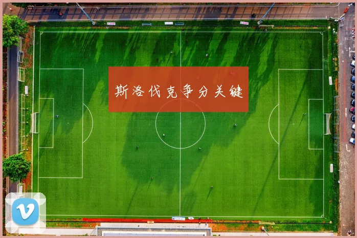 斯洛伐克争分关键