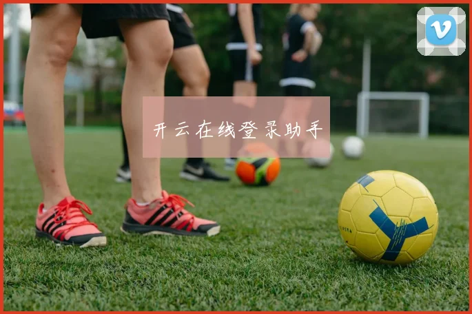 开云在线登录助手