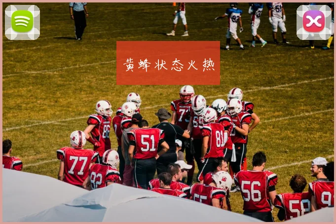 黄蜂状态火热