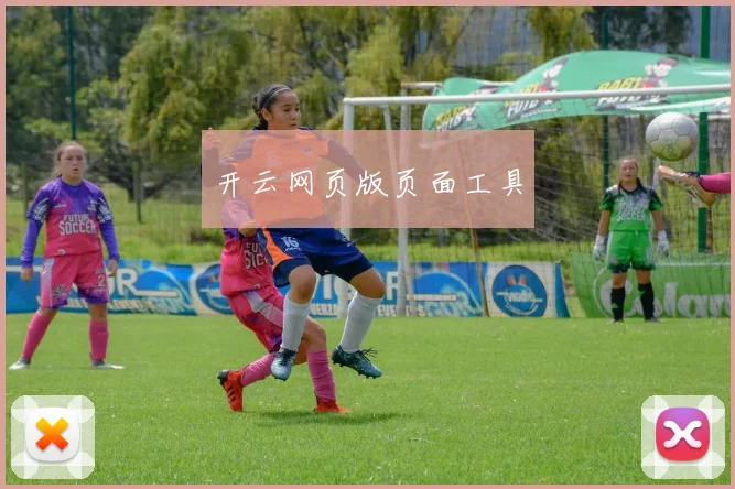 开云网页版页面工具