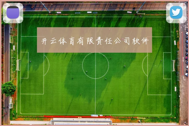 开云体育有限责任公司软件