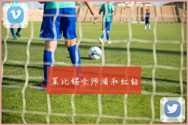 莱比锡会师浦和红钻
