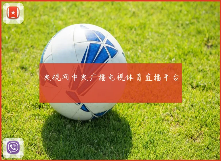 央视网中央广播电视体育直播平台