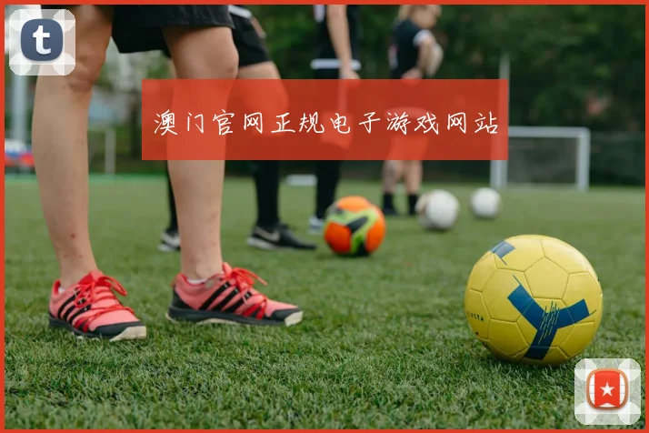 澳门官网正规电子游戏网站