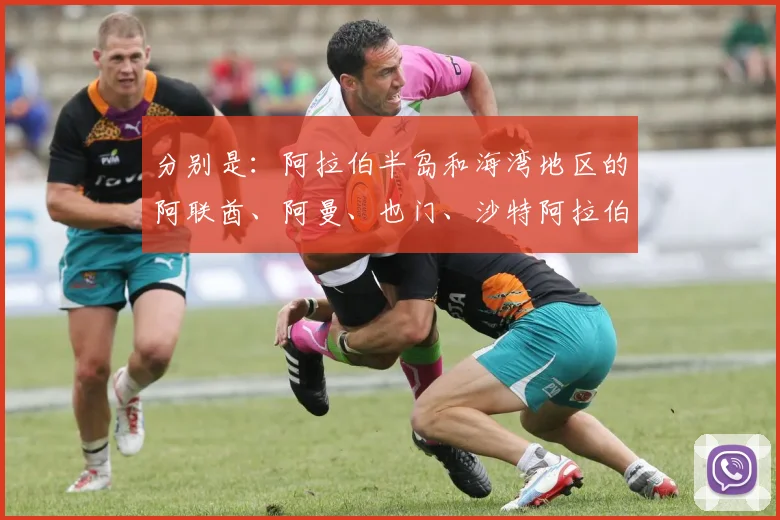 分别是:阿拉伯半岛和海湾地区的阿联酋、阿曼、也门、沙特阿拉伯、科威特、巴林、卡塔尔、伊拉克