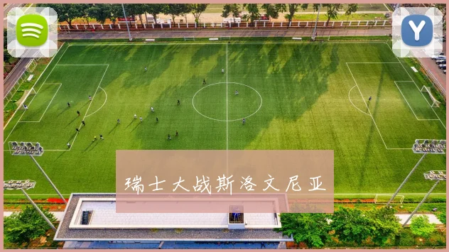 瑞士大战斯洛文尼亚