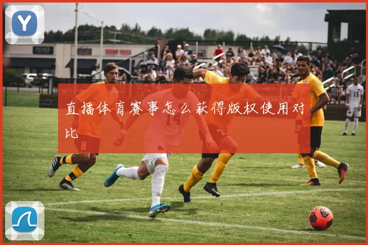 直播体育赛事怎么获得版权使用对比