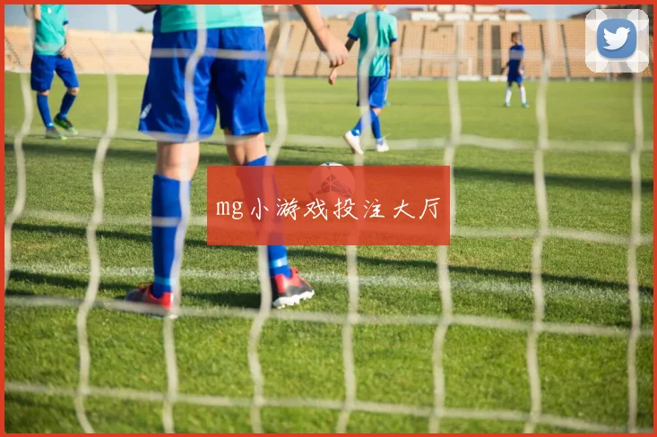 mg小游戏投注大厅