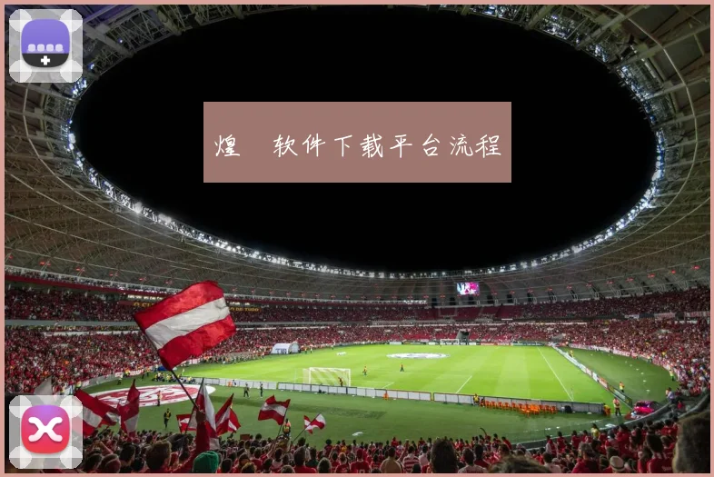 煌璱软件下载平台流程