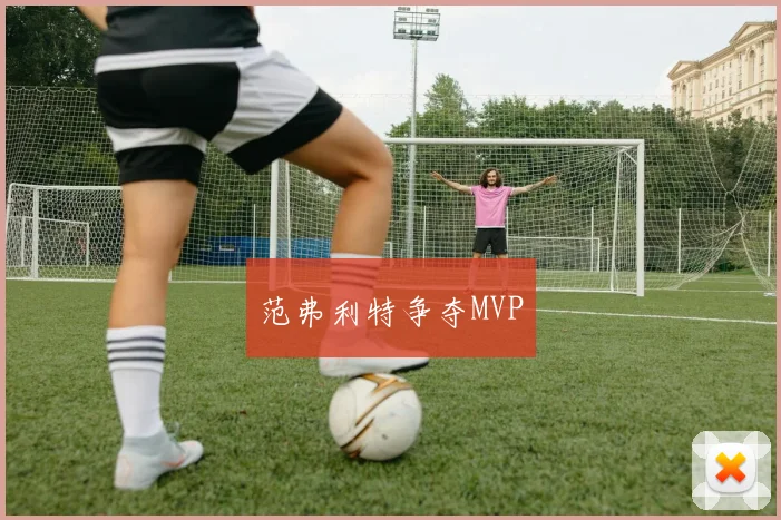 范弗利特争夺MVP