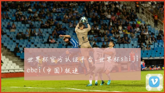 世界杯官方认证平台_世界杯shijiebei(中国)极速