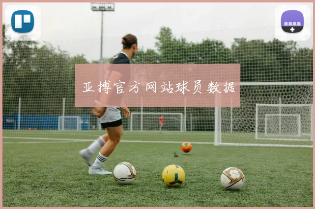 亚搏官方网站球员数据