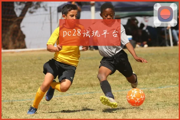 pc28试玩平台