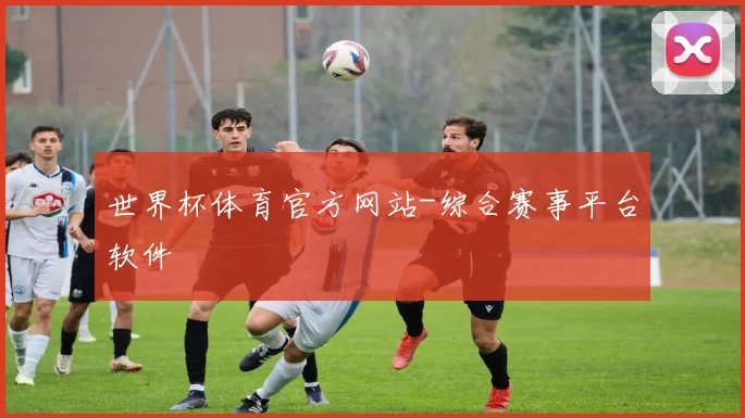 世界杯体育官方网站-综合赛事平台软件