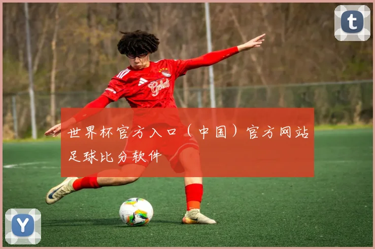 世界杯官方入口（中国）官方网站足球比分软件