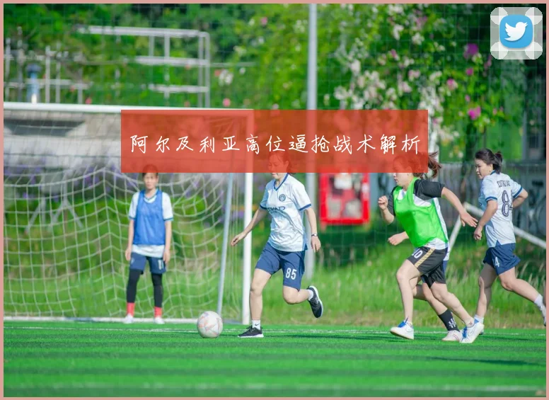 阿尔及利亚高位逼抢战术解析