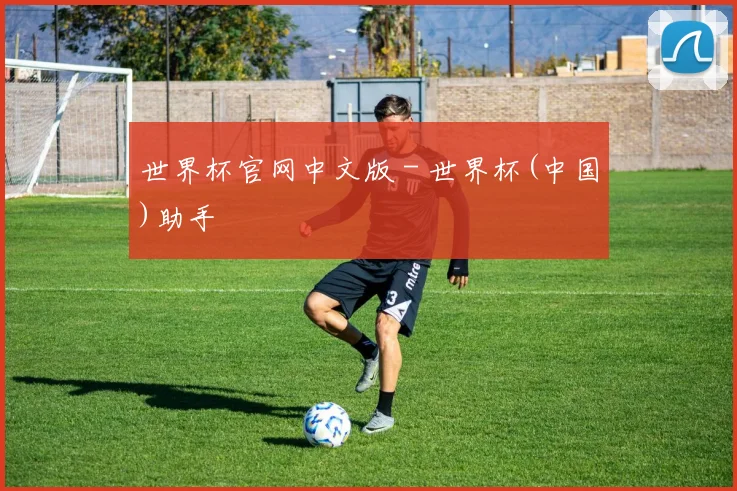 世界杯官网中文版 - 世界杯(中国)助手