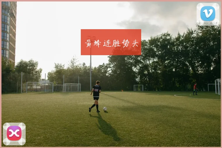 黄蜂连胜势头