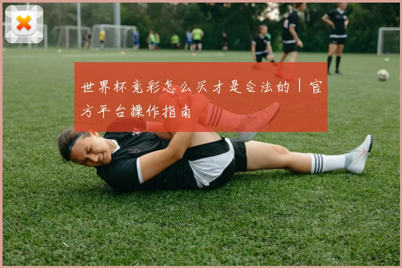 世界杯竞彩怎么买才是合法的｜官方平台操作指南