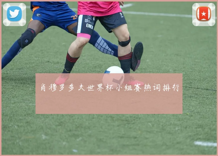 肖穆罗多夫世界杯小组赛热词排行