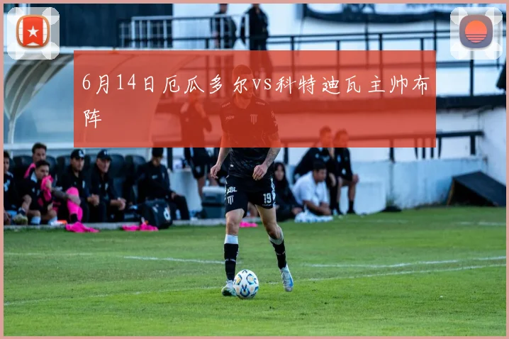 6月14日厄瓜多尔vs科特迪瓦主帅布阵