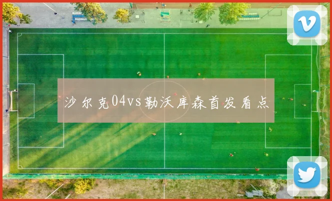 沙尔克04vs勒沃库森首发看点